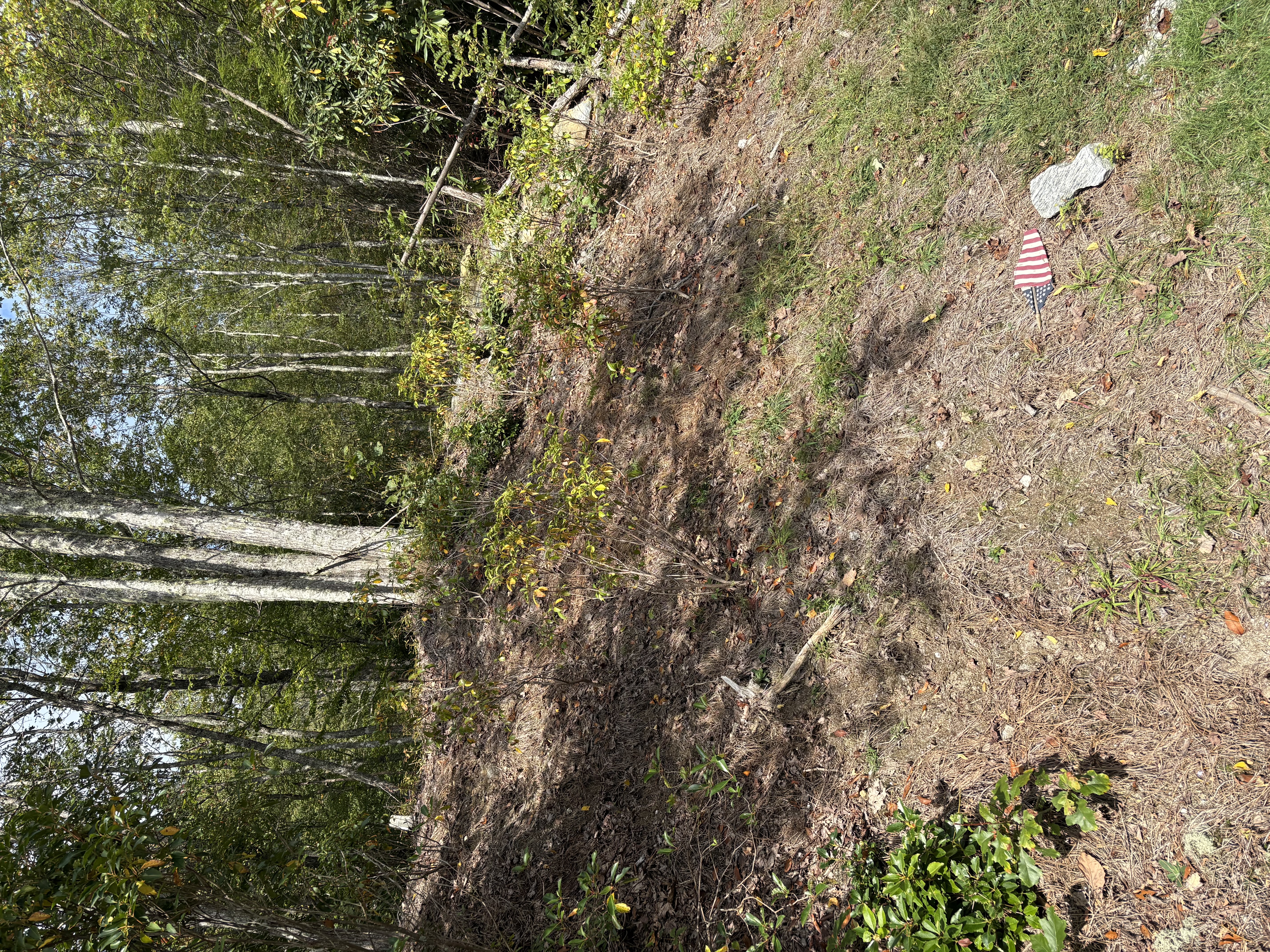 open spots around property