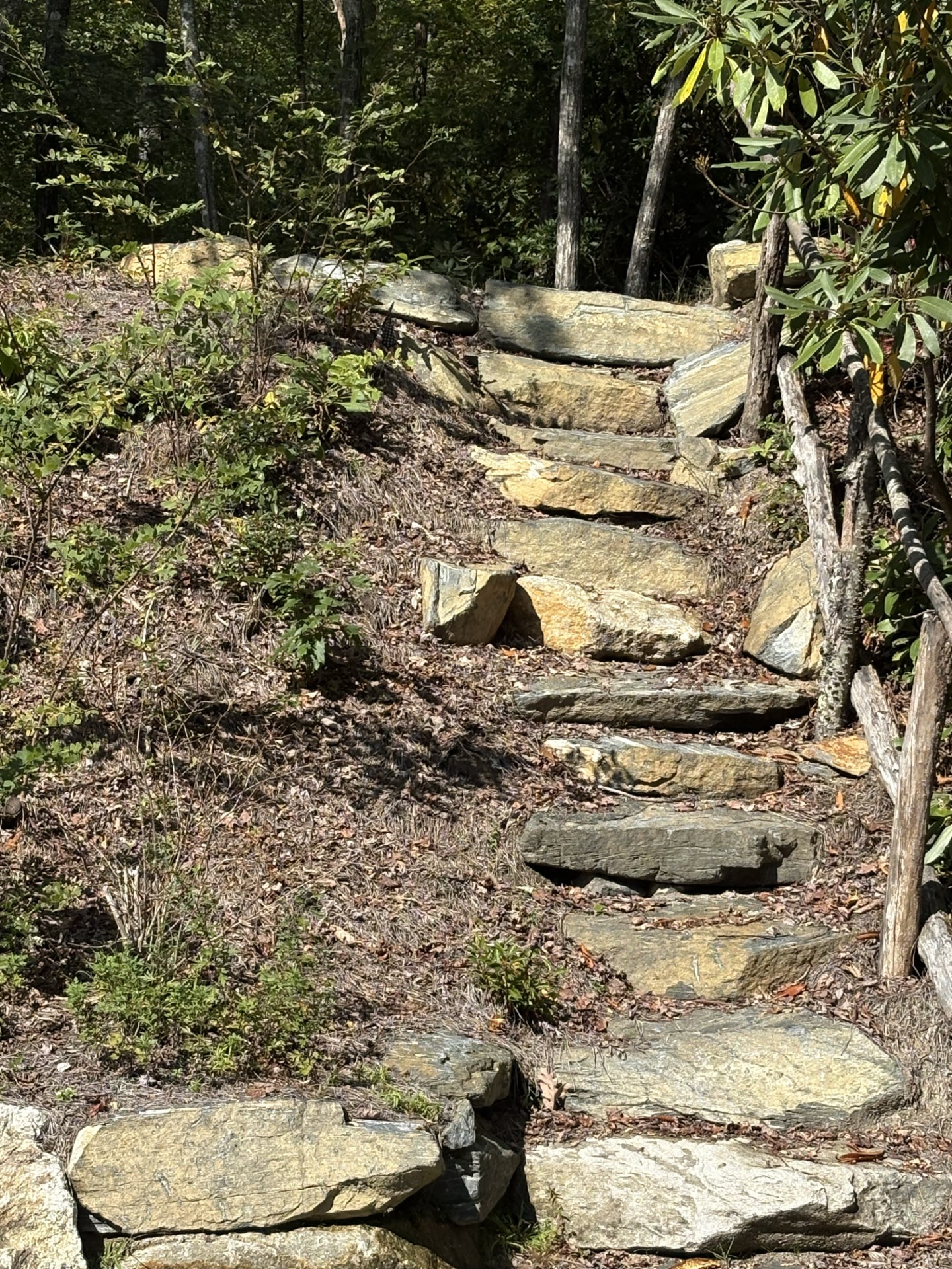 The stone steps leading to property